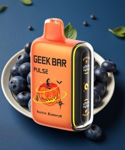 GEEK BAR Pulse 15000 Puffs 16ML 5% Luftstrom USB-C Deutschland großhandel