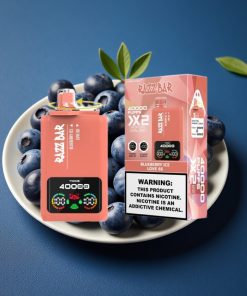 Razz Bar 40000 Puffs Power Screen Display Mesh Coil Typ-C BLUEBERRY ICE & LOVE 66