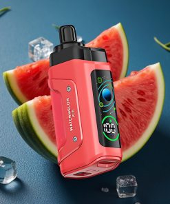 Razz Bar 45000 Puffs 1,0 Ohm Mesh Coil Typ-C Aufladbar Wassermeloneneis