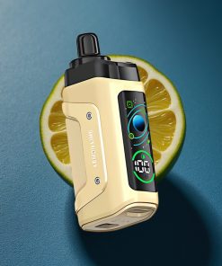 Razz Bar 45000 Puffs 1,0 Ohm Mesh Coil Typ-C Aufladbar Zitronenlimette