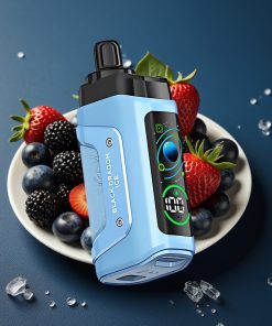 Razz Bar 45000 Puffs 1,0 Ohm Mesh Coil Typ-C Schwarz Drachen Eis