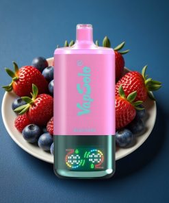 VapSolo Triple 30000 Puffs 40ml Typ-C Blauer Razz Deutschland großhandel