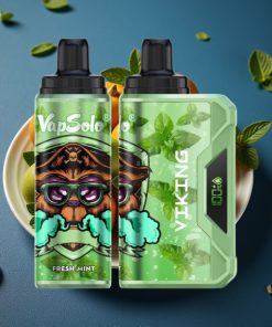 VapSolo VIKING 12000 Puffs 22ml Typ-C Display Frische Minze Deutschland großhandel