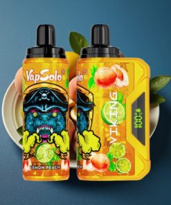 VapSolo VIKING 12000 Puffs 22ml Typ-C Ladung Display Deutschland großhandel
