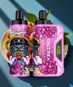 VapSolo VIKING 12000 Puffs 22ml Type-C Disposable Vape Deutschland großhandel