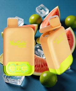 Vapsolo Twins 20000 Puffs 40ml 2-Tank Typ-C Limette-Wassermelone-Eis