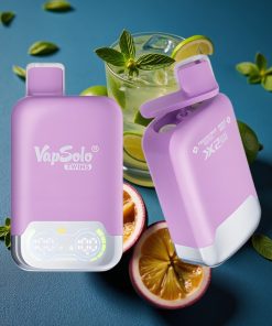 Vapsolo Twins 20000 Puffs 40ml 2-Tank Typ-C Passionfrucht Mojito & Triple Minze