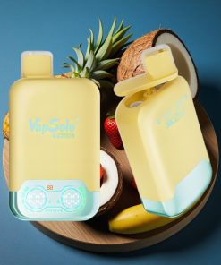 Vapsolo Twins 20000 Puffs 40ml 2-Tank Typ-C Pineapple Coconut & Strawberry Banana