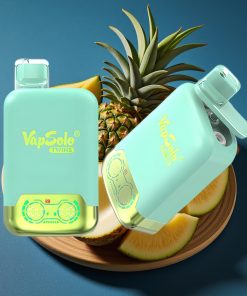 Vapsolo Twins 20000 Puffs 40ml 2×Tank Typ-C Triple Melon & Pineapple Coconut