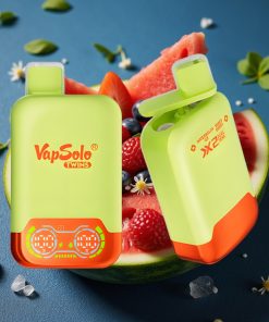 Vapsolo Twins 20000 Puffs 40ml 2-Tank Typ-C Wassermelone-Eis & Beerenmix