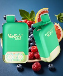 Vapsolo Twins 20000 Puffs 40ml 50mg Typ-C Blauberry Schwarze Johannisbeere & Grapefruit