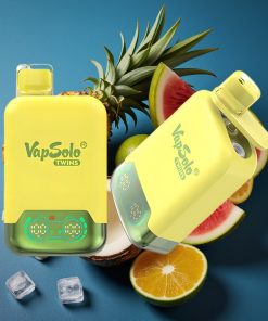 Vapsolo Twins 20000 Puffs 40ml Doppel-Tank Typ-C Pineapple Coconut & Watermelon Ice