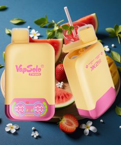 Vapsolo Twins 20000 Puffs 40ml Doppel-Öltank Typ-C Wassermelone-Eis & Erdbeer-Mango