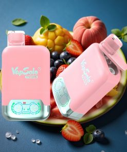 Vapsolo Twins 20000 Puffs 40ml Dual Tank Typ-C Erdbeer-Eis & Mango-Pfirsich-Wassermelone