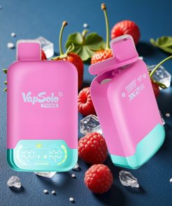 Vapsolo Twins 20000 Puffs 40ml Typ-C Doppeltank Erdbeere Himbeere Kirsche Eis & Traube Eis