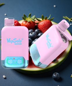 Vapsolo Twins 20000 Puffs 40ml Typ-C Doppeltank Schwarz-Eis-Drachenfrucht-Erdbeere & Himbeer-Wassermelone