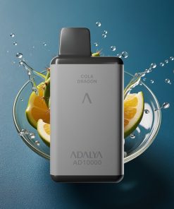 Adalya AD 10000 Puffs Space Gray Aluminium USB-C Disposable Vape Cactus Splash