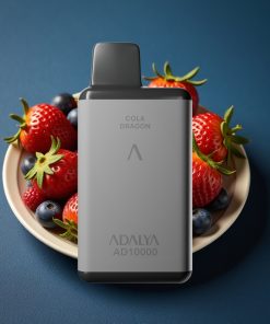 Adalya AD 10000 Puffs Space Gray USB-C Cola Dragon Deutschland großhandel
