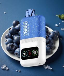 Aivono AIM MAGIC 20000 Puffs Dual Mesh LCD Typ-C 26ml Blaubeereis