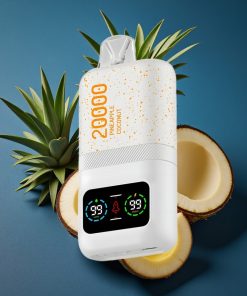 Aivono AIM MAGIC 20000 Puffs Dual Mesh LCD Type-C Deutschland großhandel