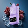 Aivono Aim Magic 20000 Puffs Dual Mesh LCD Typ-C Grape Ice Deutschland großhandel